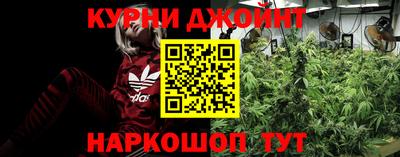 ГАЛЛЮЦИНОГЕННЫЕ ГРИБЫ Гатчина