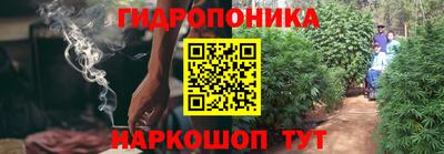 СК Гагарин