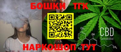 СК Гагарин