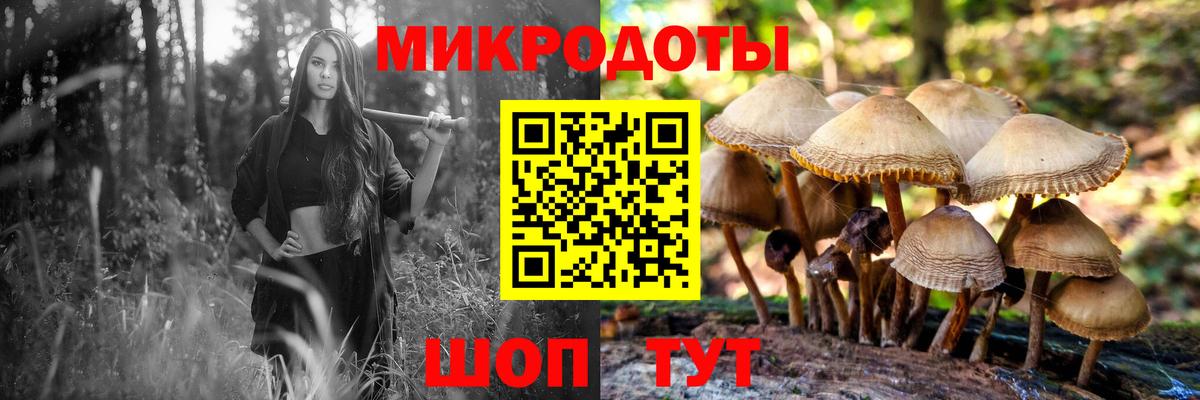 Псилоцибиновые грибы Psilocybine cubensis Муравленко