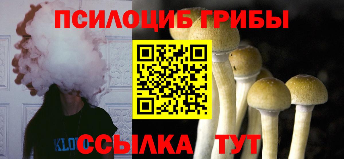 Муравленко  Псилоцибиновые грибы прущие грибы  Вход с VPN 
